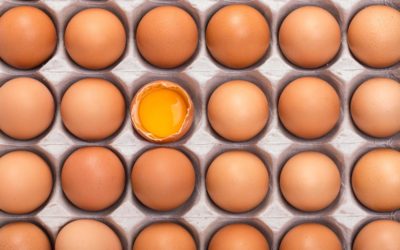 Hogyan ellenőrizhetjük, hogy friss-e a tojás?