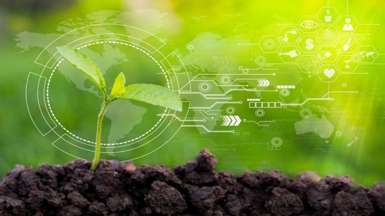 TechLab Design Terminal Nemzeti Agr rkamara KOLLABOR