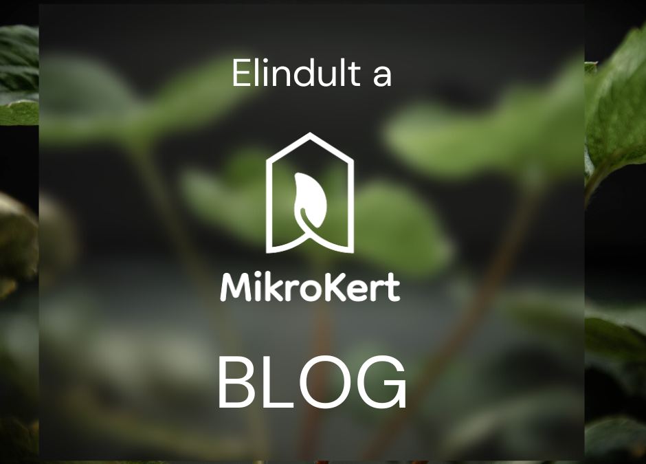 Elindult a MikroKert BLOG-ja!